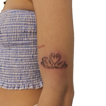 Fine line swan couple upper arm tattoo – Primitive Tattoo Perth