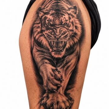 Black and grey realism tiger shoulder tattoo – Primitive Tattoo Perth