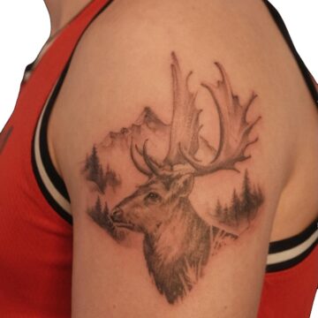 Black and grey realistic stag shoulder tattoo with pine forest by Nilyu – Primitive Tattoo Perth