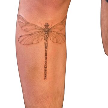 Fine line dragonfly calf tattoo by Nilyu – Primitive Tattoo Perth