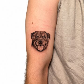 Micro realism Rottweiler dog portrait tattoo – Primitive Tattoo Perth