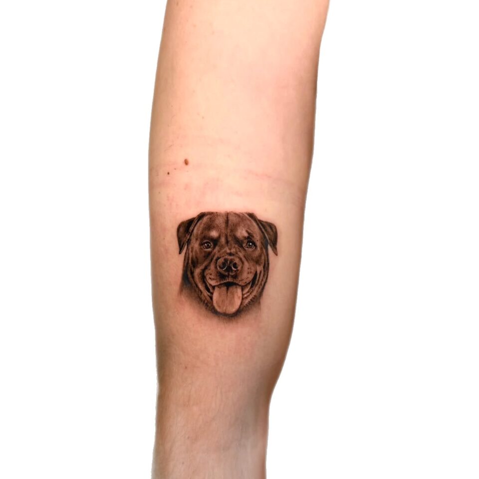 Micro realism dog portrait arm tattoo by Sarah, Primitive Tattoo Perth