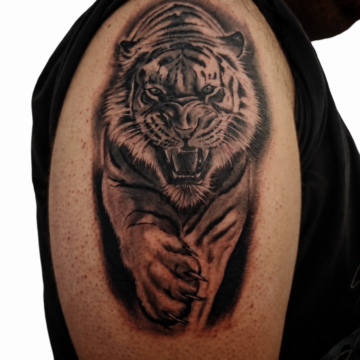 Black and grey realism tiger shoulder tattoo Perth
